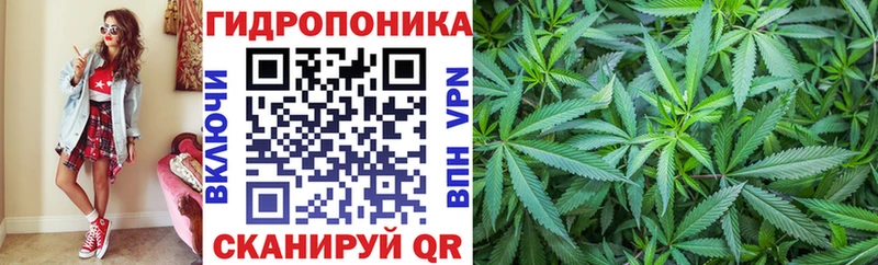 Шишки марихуана сатива  OMG   Бодайбо  сколько стоит 